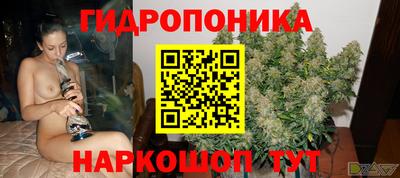 a pvp Дубна